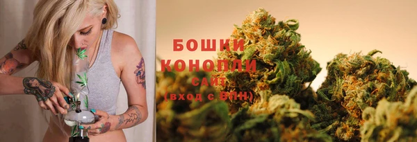 гашик Нефтекумск