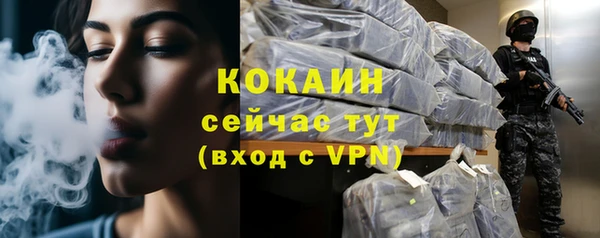 ГАЛЛЮЦИНОГЕННЫЕ ГРИБЫ Надым