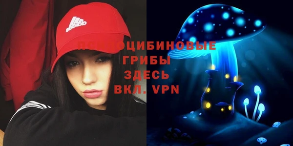 ГАЛЛЮЦИНОГЕННЫЕ ГРИБЫ Надым