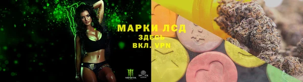 гашик Нефтекумск