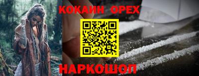 прущие крисы Будённовск