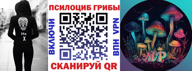Галлюциногенные грибы Magic Shrooms  где можно купить   Новочебоксарск 