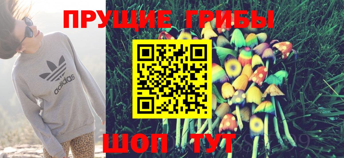 дарнет шоп  Галлюциногенные грибы Psilocybine cubensis  Вход с VPN  Новочебоксарск 